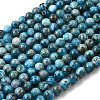 Natural Apatite Beads Strands G-G858-01B-01-1