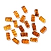 Opaque Acrylic Beads OACR-M018-03C-1