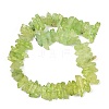 Natural Crackle Quartz Beads Strands G-R012-B06-08-3