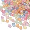 Luminous Transparent Acrylic Beads OACR-B031-14-2