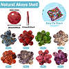 160Pcs 8 Colors Natural Akoya Shell Charms BSHE-TA0001-02-13