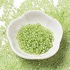 8/0 Glass Seed Beads SEED-Z001-C-E12-2