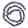 Natural Blue Spot Jasper Beads Strands G-A280-C06-01-4