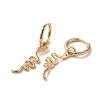 Brass Micro Pave Cubic Zirconia Dangle Hoop Earrings EJEW-C073-39KCG-2