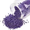 MIYUKI Delica Beads SEED-MY11-DB2510-1