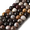 Natural Mexico Crazy Agate Beads Strands X-G-L615-A01-01-8