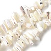 Dyed Natural Trochus Shell Beads Strands SSHEL-C013-09J-1