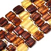 Natural Amber Beads Strands G-C260-A01-05-2