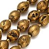 Electroplated Natural Druzy Geode Crystal Beads Strands G-F833-O01-01A-2