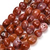 Natural Red Agate(Dyed & Heated) Beads Strands G-C287-A01-01-3