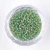 12/0 Grade A Round Glass Seed Beads SEED-N001-D-225-2