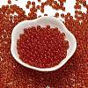 Transparent Colours Glass Seed Beads SEED-C001-02A-10-2