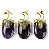 Natural Amethyst Pendants G-L524-17G-07-1