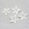 Transparent Acrylic Beads FACR-Q009-14J-1