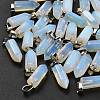 Opalite Pendants G-Z067-07P-03-5