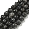 Natural Larvikite Beads Strands G-E571-A09-03-1