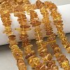 Natural Amber Beads Strands G-L095-D01-06-1