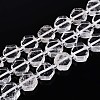 Natural Quartz Crystal Beads Strands G-P534-A23-01-4