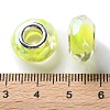 Shell Filling Brass Cores Acrylic European Beads OACR-M024-01P-06-3