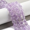 Natural Amethyst Beads Strands G-F306-11-10mm-2