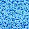 TOHO 6/0 Round Beads SEED-XTR06-0043F-2