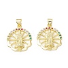 Rack Plating Brass Micro Pave Cubic Zirconia Pendants LS-KK-E278-12G-1