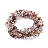 Natural Botswana Agate Beads Strands X-G-I283-A05-2