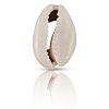 100Pcs Natural Cowrie Shell Beads BSHE-LT0001-08-6