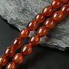 Oval Natural Carnelian Beads Strands G-D622-06-A-1