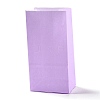 Rectangle Kraft Paper Bags CARB-K002-01A-05-1