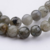 Natural Labradorite Bead Strands G-K152-03-8mm-2