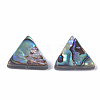 Abalone Shell/Paua Shell Beads X-SSHEL-T008-16-2