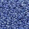 8/0 Ceylon Round Glass Seed Beads X-SEED-A011-3mm-146-2
