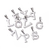 304 Stainless Steel Pendants STAS-F106-95P-01-1