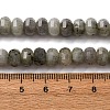 Natural Labradorite Beads Strands G-P587-D13-02-5