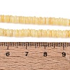 Natural Freshwater Shell Beads Strands SHEL-Q028-01B-4