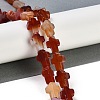 Natural Red Agate Beads Strands G-I369-A20-02-2