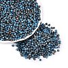 Picasso Glass Seed Beads GL-N001-01B-02-1