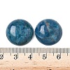 Natural Apatite Cabochons G-A265-01D-3