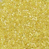 MIYUKI Delica Beads SEED-MY11-DB0171-3