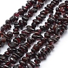 Natural Garnet Beads Strands G-P332-72-1