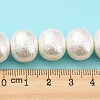 Natural Wrinkle Shell Beads Strands SHEL-F008-02-5