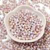 Baking Painted Glass Seed Beads SEED-C004-03C-2