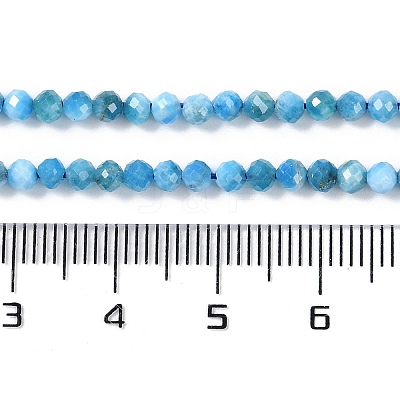 Natural Apatite Beads Strands X-G-P542-A06-02-1