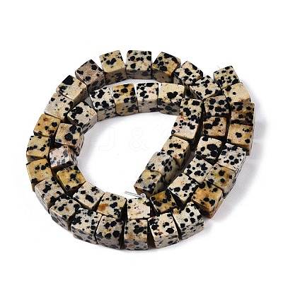 Natural Dalmatian Jasper Beads Strands G-T139-8x8-17A-1