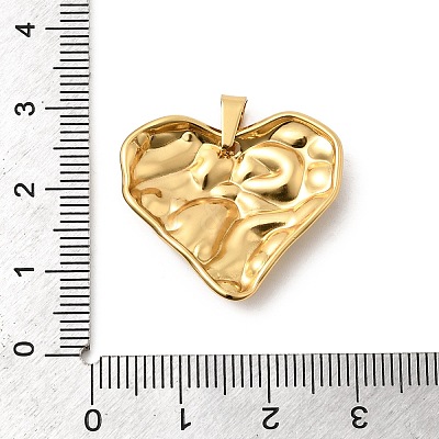 304 Stainless Steel Pendants STAS-C163-04B-G-1