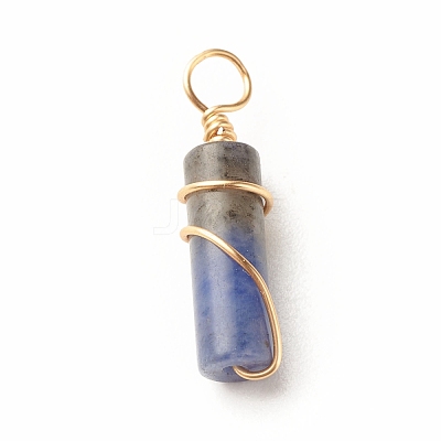 Natural Sodalite Pendants PALLOY-JF01453-03-1