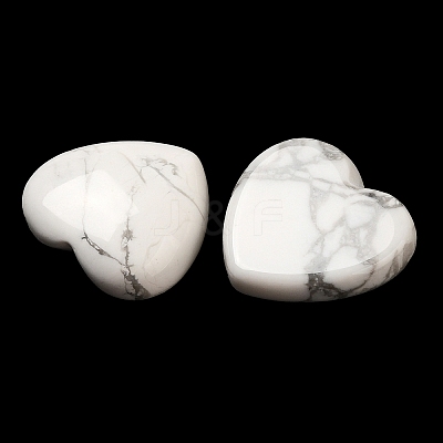 Natural Howlite Cabochons G-F776-02A-24-1