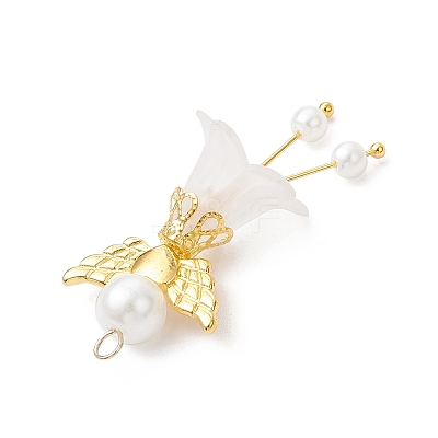 Glass Pearl & Acrylic Pendants PALLOY-JF04047-01-1