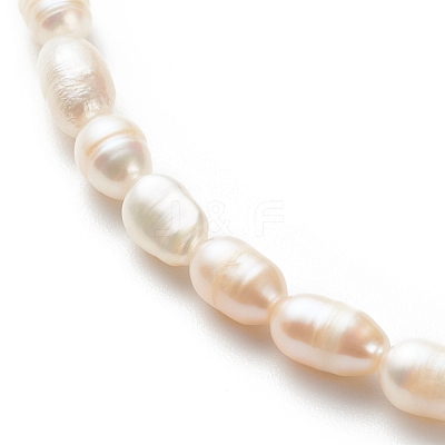 Grade A Natural Pearl Rice Beaded Necklace for Women NJEW-JN03958-1